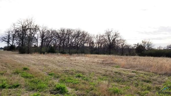 CR 1010 and Hwy 37: CR 1010 and Hwy 37, Mount Vernon, TX 75457